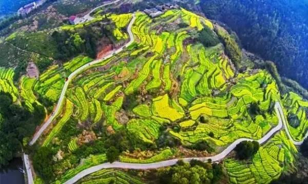 浙江最美的古村，全在浦江～