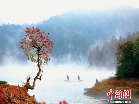 浙江浦江鄉(xiāng)村逆襲記：精耕細作煥新顏 青山綠水入畫來。浦江縣農(nóng)辦提供