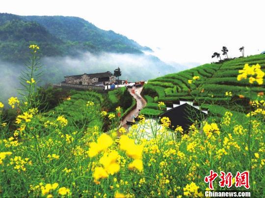 浙江浦江鄉(xiāng)村逆襲記：精耕細作煥新顏 青山綠水入畫來。浦江縣農(nóng)辦提供
